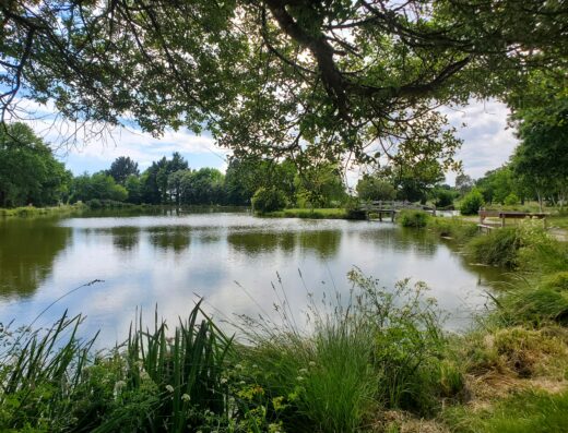 Etang de Berric