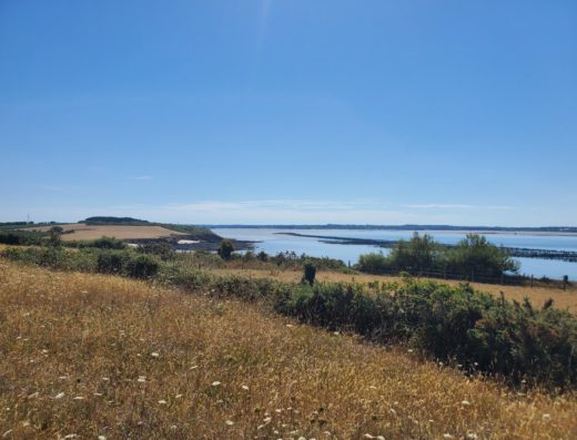 Le cairn des Grays (Point de vue) – Billiers